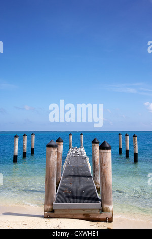 Barca vuota pier con uccelli marini Dry Tortugas Florida keys usa Foto Stock