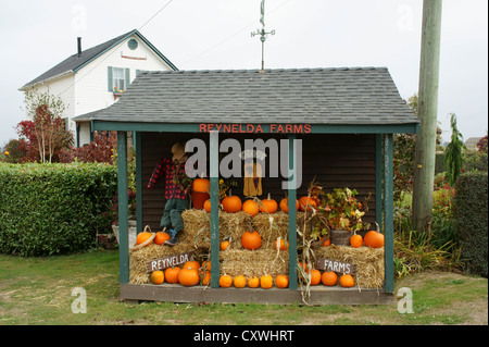 Strada stand di zucca in Ladner, Delta, British Columbia, Canada Foto Stock