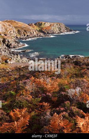 Soleggiato e heather bracken Camas Daraich Bay e Leir Mhaodail promontorio vicino al punto di Sleat, Isola di Skye, Scotland, Regno Unito Foto Stock