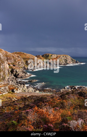 Soleggiato e heather bracken Camas Daraich Bay e Leir Mhaodail promontorio vicino al punto di Sleat, Isola di Skye, Scotland, Regno Unito Foto Stock