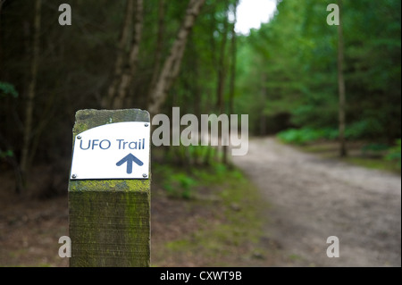 Il percorso di UFO all'interno di Rendlesham Forest, Suffolk, Inghilterra, Regno Unito Foto Stock