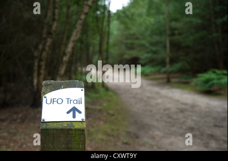 Il percorso di UFO all'interno di Rendlesham Forest, Suffolk, Inghilterra, Regno Unito Foto Stock