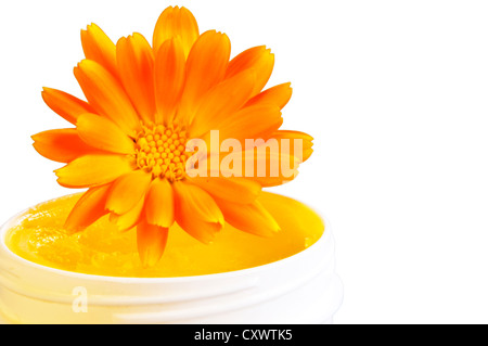 Tagete con la Pomata alla Calendula per digestione Foto Stock