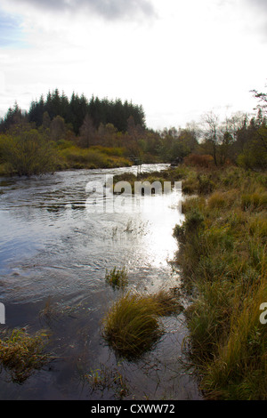 Acqua di Minnoch che fluisce nella River Cree nella foresta di Galloway in Scozia Foto Stock