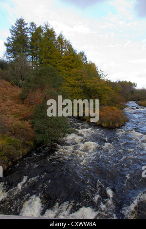 Acqua di Minnoch che fluisce nella River Cree nella foresta di Galloway in Scozia Foto Stock