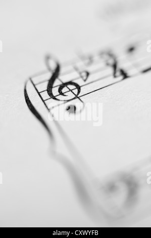 Foglio di musica note cliente melody close up nero bianco composizione linee sinistra destra mani treble schisi stampato su carta Foto Stock