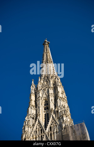 La guglia di Stephansdom (Cattedrale Santo Stefano), Vienna, Austria Foto Stock