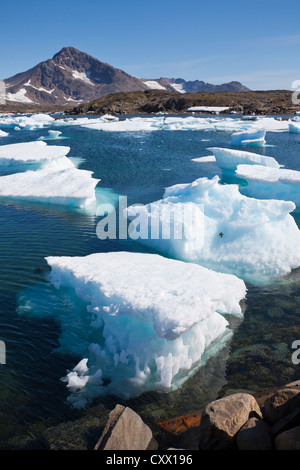Mare di ghiaccio vicino a Kulusuk, Groenlandia Foto Stock