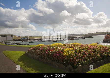 Portrush County Antrim Irlanda del Nord yacht e imbarcazioni di salvataggio ormeggiata nel porto di questa popolare località balneare Foto Stock