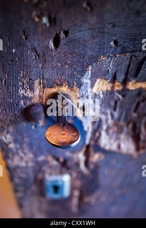 Chiave nella porta della chiesa romanica di Santa Eulàlia in Erill la Vall nella Vall de Boí, Catalogna, Spagna. Foto Stock