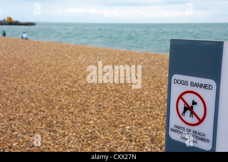 Firmare il divieto i cani dalla spiaggia in primavera e in estate - i cani non firmare a Southsea beach, England, Regno Unito Foto Stock