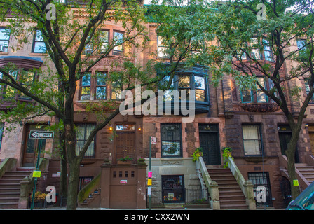 New York, New York, Stati Uniti, Street Scenes, Townhouse, Row Houses City, Brownstone Houses Apartment Buildings nell'area di Harlem, Morris-Jumel, Manhattan, mercato degli affitti New York Foto Stock