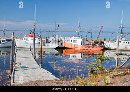 Vista del molo e barche da pesca a Advocate Harbour, un ben protetto porto sulla Baia di Fundy in Nova Scotia costa. Foto Stock