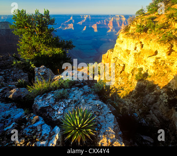 Punto Sublime, sul bordo Nord del Grand Canyon è uno dei panorami più mozzafiato ovunque nel Grand Canyon! Foto Stock
