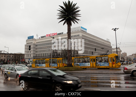 Fake Palm tree Varsavia POLONIA Foto Stock