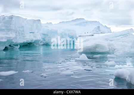 Ice floes vicino Paulet Island, l'Antartide. Foto Stock