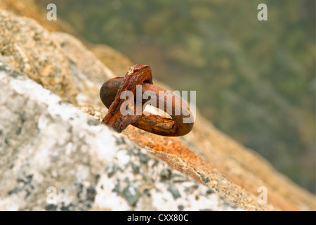 Un vecchio anello di ormeggio sul lato della parete del porto a Sennen Cove Cornwall Inghilterra Foto Stock