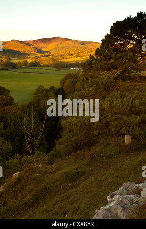 Tramonto su ferri corti Country Park nella gamma Clwydian nel Galles del Nord verso Moel Famu Foto Stock