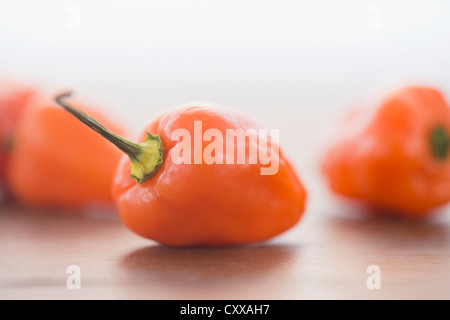 Close up di orange chili peppers Foto Stock