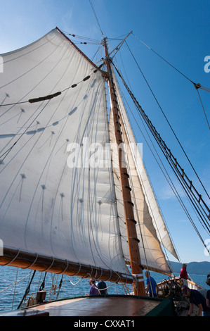 A bordo della storica tall ship goletta "Zodiaco" vela attraverso il San Juan Isole di Puget Sound nello stato di Washington. Foto Stock