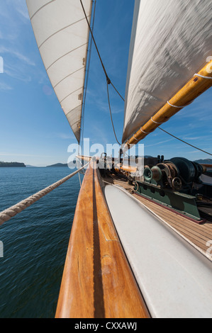 A bordo della storica tall ship goletta "Zodiaco" vela attraverso il San Juan Isole di Puget Sound nello stato di Washington. Foto Stock