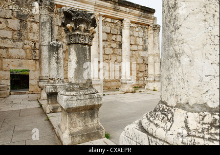 Gli scavi vicino alla casa di San Pietro, la Sinagoga risalente al V secolo D.C., Cafarnao sul lago di Genezaret Foto Stock