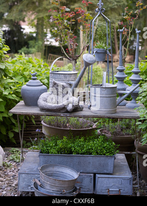 Still Life, old innaffiatoi costituito di zinco in un romantico giardino Foto Stock