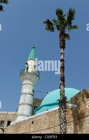 Al-Zaytuna moschea nel quartiere storico di acri o Akko, Sito Patrimonio Mondiale dell'Unesco, Israele, Medio Oriente Foto Stock