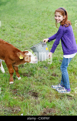 Ragazza alimentazione di un vitello neonato in un prato, Alta Baviera, Baviera Foto Stock