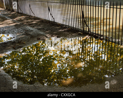 Autunno riflessioni in una pozza da follia Bridge, Oxford Foto Stock