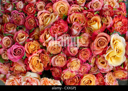 Bouquet di rosso e giallo rose, Muenstermarkt square, Freiburg im Breisgau, Baden-Wuerttemberg Foto Stock