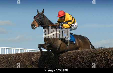 Ffos Las Race Course vicino Kidwelly, Carmarthenshire. Foto Stock