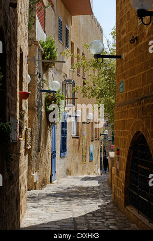 Artisti' trimestre nella città vecchia di Jaffa, Tel Aviv, Israele, Medio Oriente Foto Stock