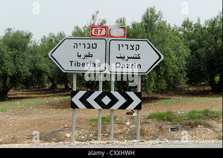 Segno posto in tre lingue, arabo, ebraico e latino, Tabgha presso il mare di Galilea, il lago di Genezaret Yam Kinneret Foto Stock