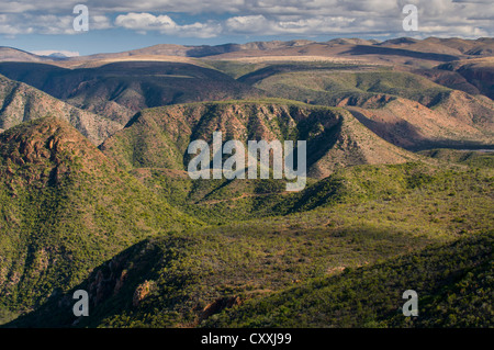 Paesaggio di montagna, Baviaanskloof, Capo orientale, Sud Africa e Africa Foto Stock