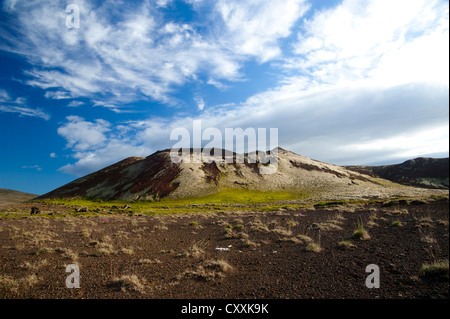 Cono vulcanico sul Berserkjahraun campo di lava, Snaefellsnes peninsula, Snaefellsnes, Islanda, Europa Foto Stock