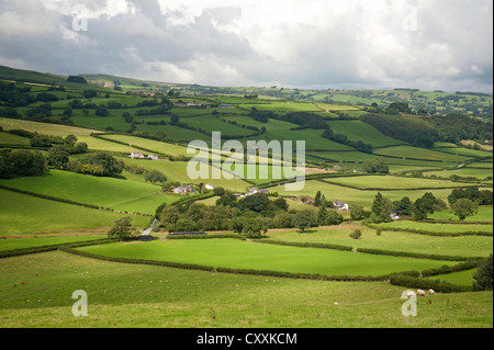 Il Welsh campagna sopra Trefeglwys, Powys. Montgomeryshire. SCO 8664 Foto Stock