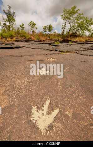 Impronte fossilizzate di un Tirannosauro Rex nei pressi del villaggio di Mananga, Camerun, Africa centrale, Africa Foto Stock