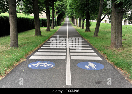 Una pista ciclabile e un percorso pedonale, esempi di itinerari di trasporto, Ludwigsburg, Neckar, Baden-Wuerttemberg Foto Stock