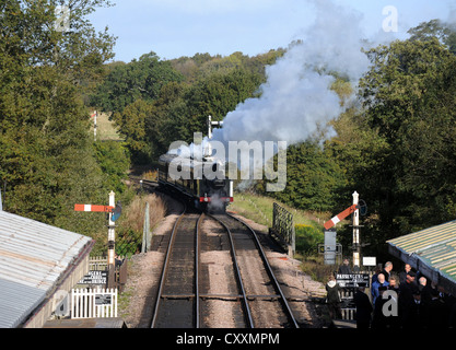 Locomotiva a vapore il treno 473 Boschetto di frusta a Sheffield Park Station on the Bluebell Linea ferroviaria SUSSEX REGNO UNITO Foto Stock