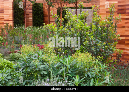 RHS Chelsea flower show gardens 2012 LONDON REGNO UNITO Foto Stock