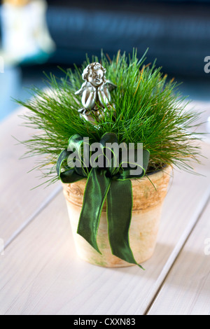 Erba in un vaso di fiori con un bow tie e un angelo, putto Foto Stock