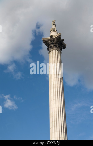 Nelson la colonna, un monumento per commemorare l'ammiraglio Horatio Nelson, London, England, Regno Unito, Europa, PublicGround Foto Stock