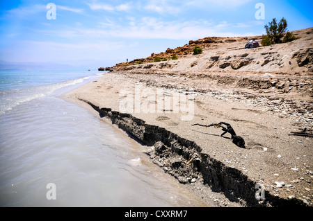 Vista sulla spiaggia del Mar Morto Foto Stock