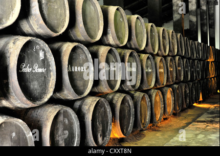 Botti di Sherry, Bodega Pedro Romero, Sanlucar de Barrameda, la provincia di Cadiz Cadice, Andalusia, Spagna, Europa Foto Stock