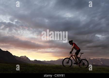 Ciclista, mountain biker, silhouette, montagne, sunset Foto Stock
