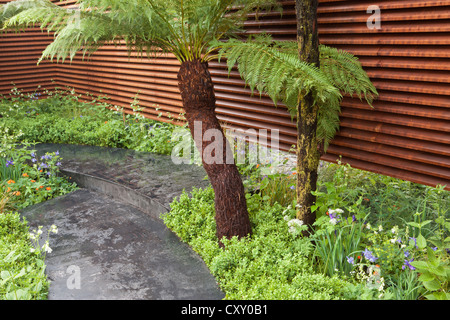 Felci di alberi Dicksonia Antartide al confine verde con recinzione in acciaio corten pavimentazione in pietra grigia Chelsea fiori mostra giardini 2012 Londra Regno Unito Foto Stock