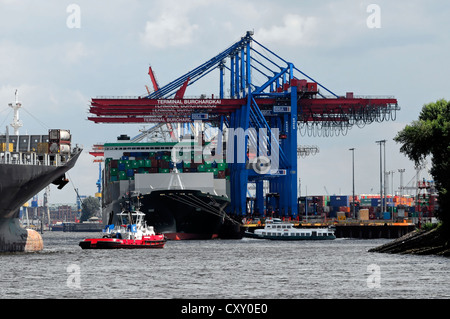 HS Bach, contenitore di nave, costruita nel 2007, 246.80 m, durante il carico e lo scarico e il porto di Amburgo, città anseatica di Amburgo Foto Stock