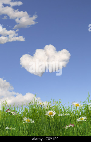 La formazione di nube formando la forma di due cuori in cielo al di sopra di un prato fiorito, illustrazione Foto Stock