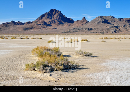 Le saline a Bonneville Speedway, il Grande Lago Salato Desert, argento Isola Montagna sul retro, Wendover, Utah, Stati Uniti d'America Foto Stock
